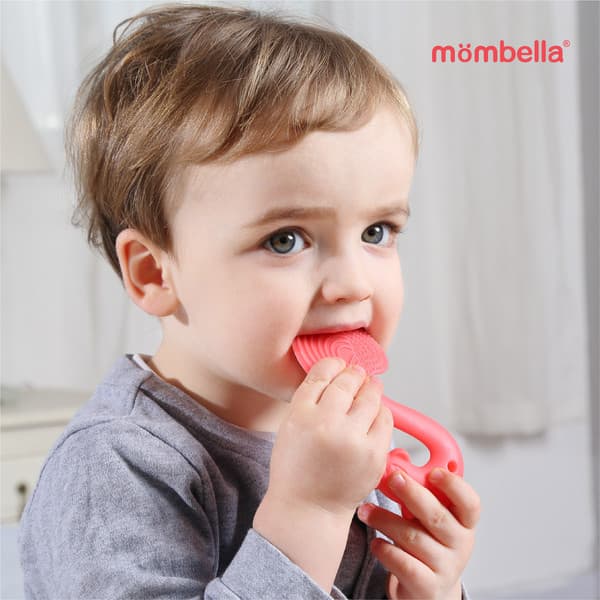 Прорезыватель для зубов Mombella Белка / 8061 3