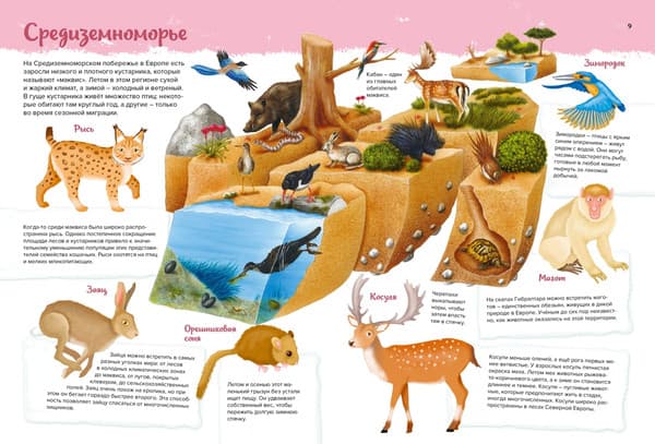Атлас Махаон Животные. Мой первый атлас в картинках 4