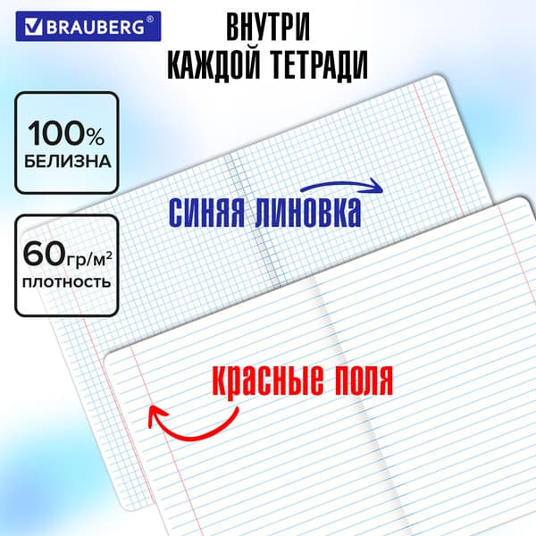 Набор предметных тетрадей Brauberg 404834 6