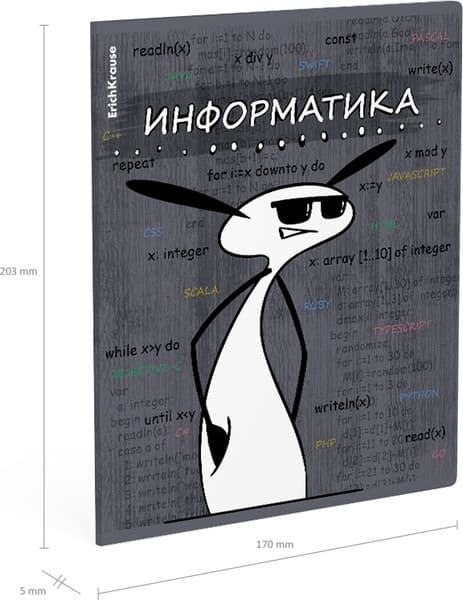 Тетрадь предметная Erich Krause Чубрик. Информатика / 59479 4