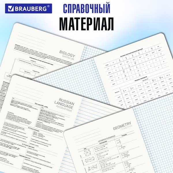 Набор предметных тетрадей Brauberg 404838 5