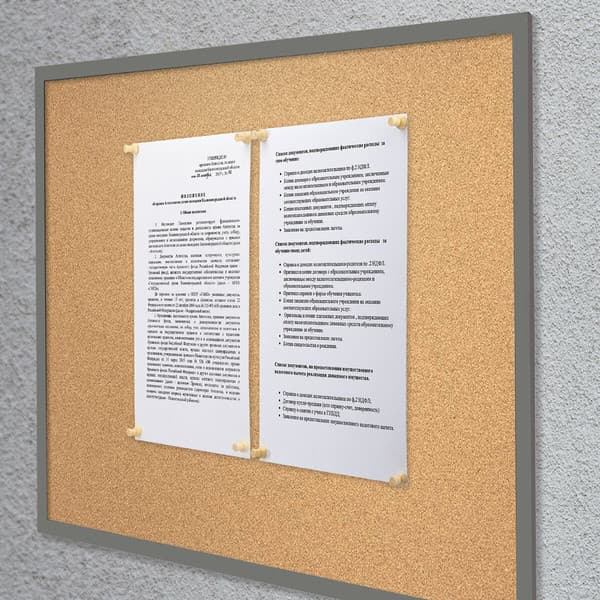 Кнопки канцелярские Brauberg 272759 9