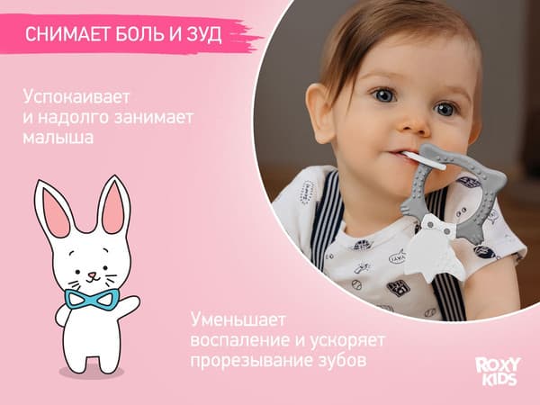 Прорезыватель для зубов ROXY-KIDS Fox / RBT20032 3