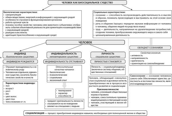 Учебное пособие Аверсэв Обществоведение в логич. схемах. ЦЭ/ЦТ. 2025, мягкая обложка 2