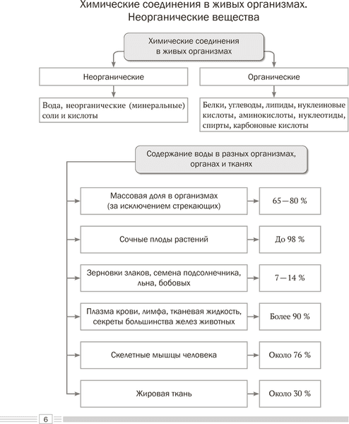 Учебное пособие Аверсэв Биология. 11 класс 2025, мягкая обложка 5