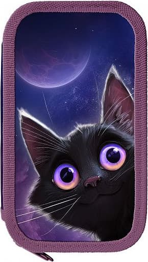 Пенал Schoolformat Игривый космокотик / ПК2-ИКК