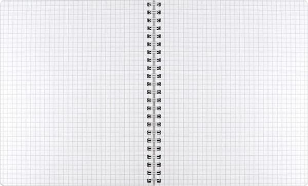 Тетрадь Феникс+ Copybook. Абстрактные цветы / 68514 4