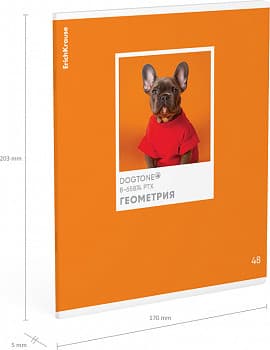 Тетрадь предметная Erich Krause DogTone Геометрия / 63350 3
