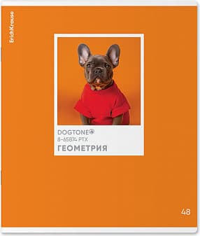 Тетрадь предметная Erich Krause DogTone Геометрия / 63350
