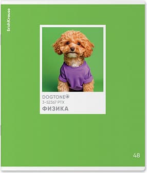 Тетрадь предметная Erich Krause DogTone Физика / 63351
