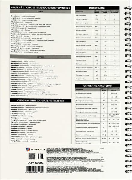 Тетрадь нотная Феникс+ Космическая гитара / 69903 6