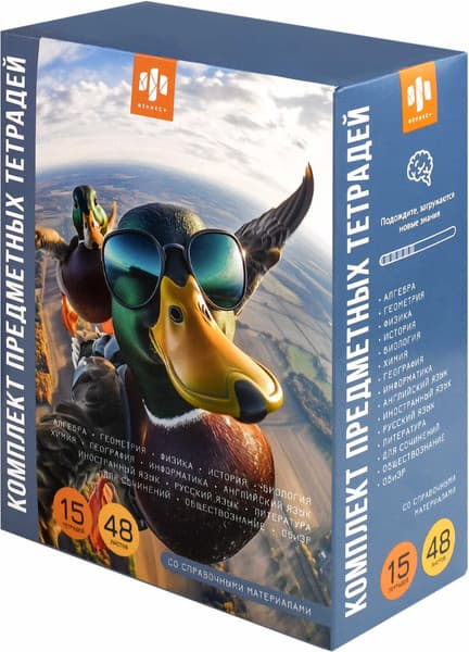 Набор предметных тетрадей Феникс+ Селфи / 70054 2