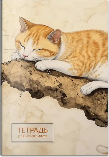 Тетрадь предметная Эксмо Для записи иероглифов. Рыжий котик / 9785042088247 6