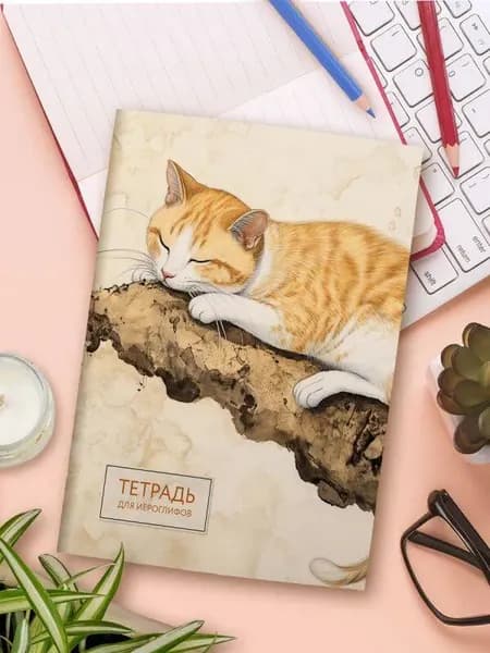 Тетрадь предметная Эксмо Для записи иероглифов. Рыжий котик / 9785042088247 5