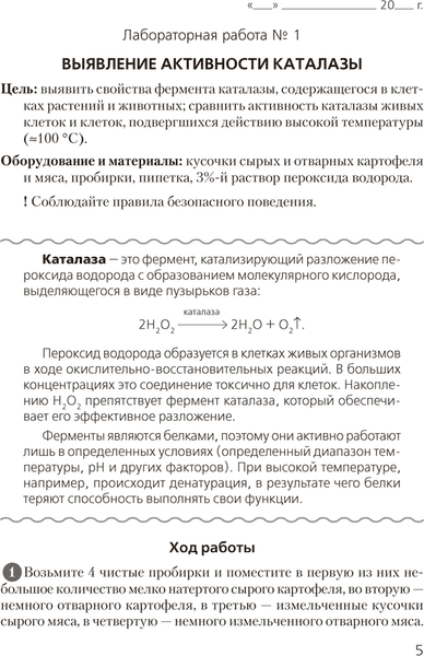 Рабочая тетрадь Аверсэв Биология. 11 класс. Для лабораторных и практических работ 2025 4
