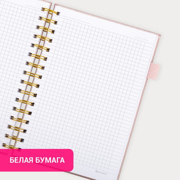 Тетрадь Brauberg Calipso / 116251 4