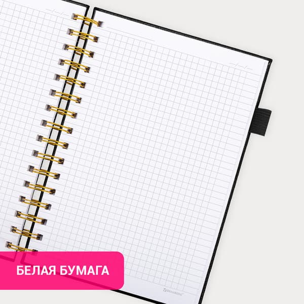 Тетрадь Brauberg Calipso / 116252 4