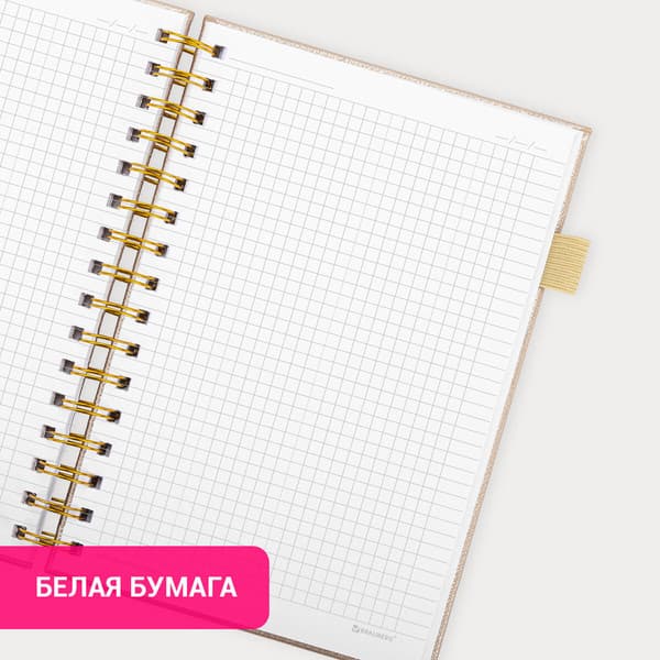 Тетрадь Brauberg Calipso / 116254 4