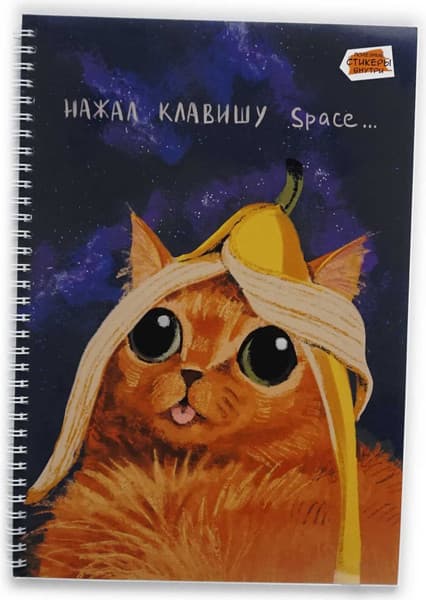 Тетрадь Listoff Space / ТС2Л4805307 3