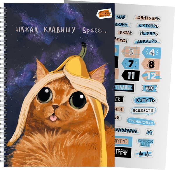 Тетрадь Listoff Space / ТС2Л4805307 4