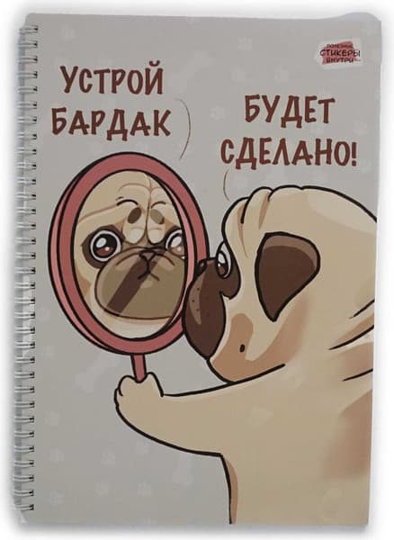 Тетрадь Listoff Баловень / ТС2Л4805308 2