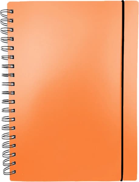 Тетрадь Listoff Favorite Color. Neon Orange / ТПФК680219