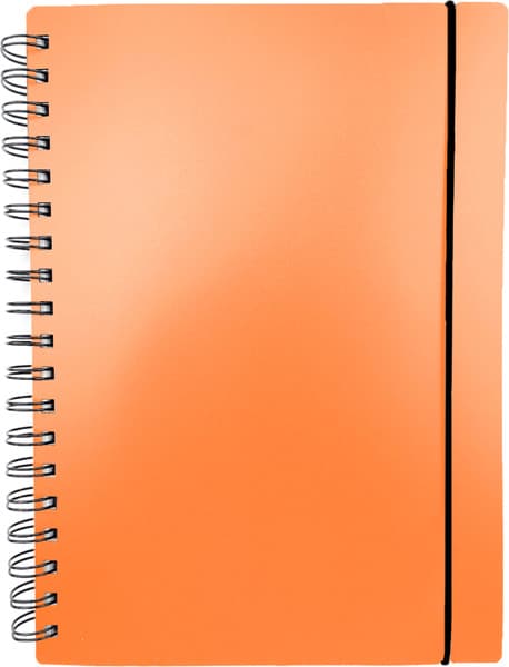 Тетрадь Listoff Favorite Color. Neon Orange / ТПФК580214