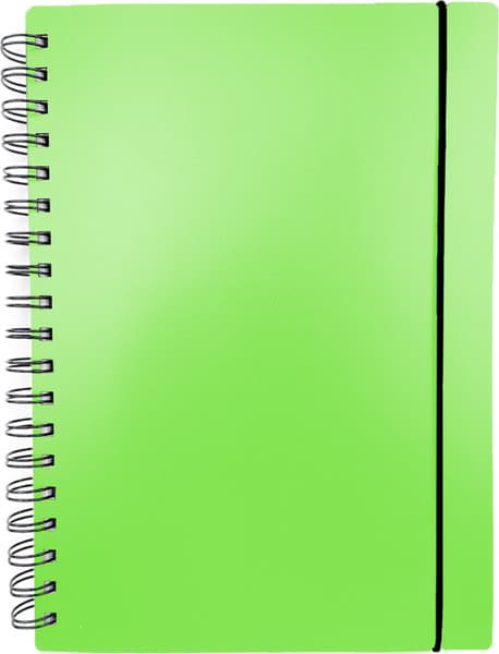 Тетрадь Listoff Favorite Color. Neon Green / ТПФК580213