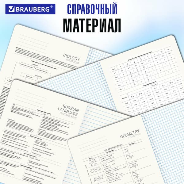 Набор предметных тетрадей Brauberg Classic / 405186 10