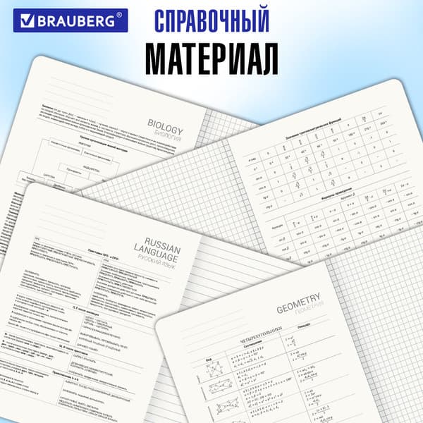 Набор предметных тетрадей Brauberg Ритм / 405187 10