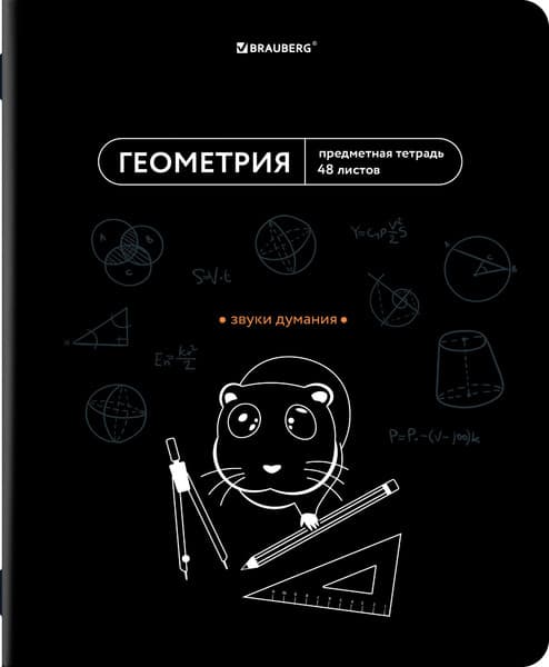 Тетрадь предметная Brauberg Мемы. Геометрия / 405101