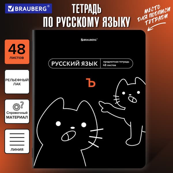 Тетрадь предметная Brauberg Мемы. Русский язык / 405105 5