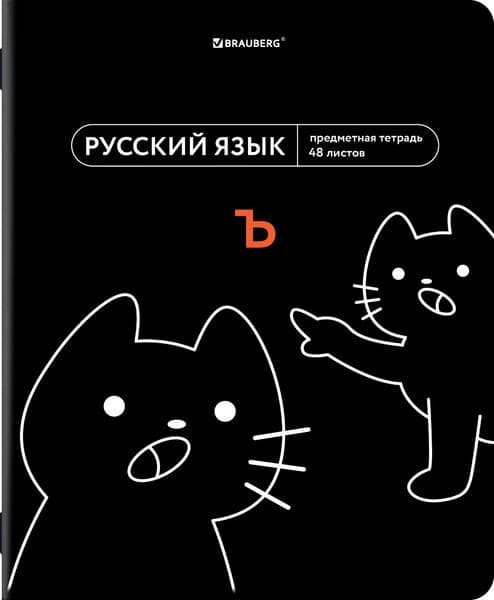 Тетрадь предметная Brauberg Мемы. Русский язык / 405105