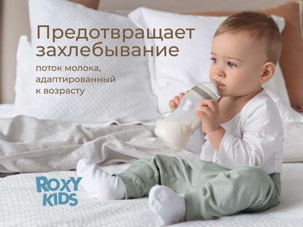 Бутылочка для кормления ROXY-KIDS Быстрый поток 6+ / RBTL-003-BGR 6