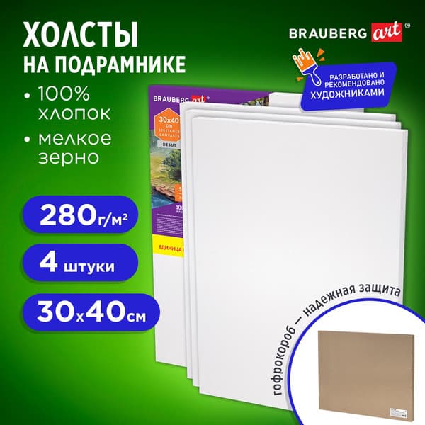 Набор холстов для рисования Brauberg Art Debut / 192511 2
