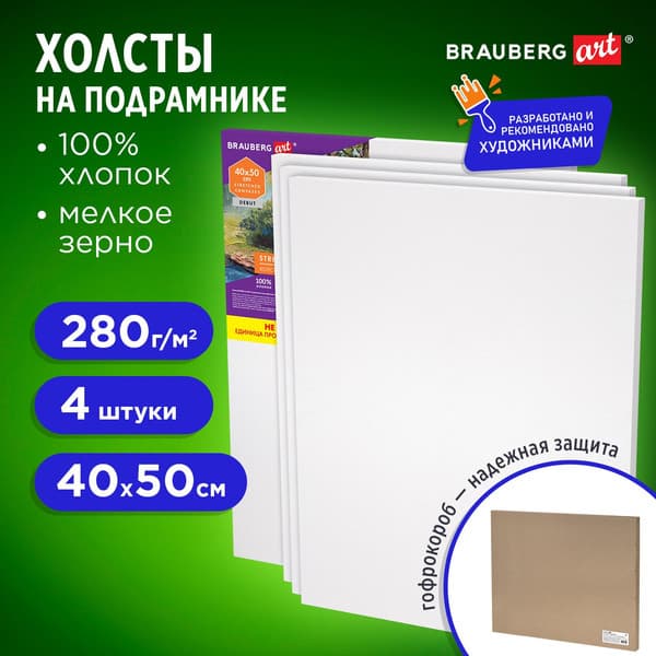 Набор холстов для рисования Brauberg Art Debut / 192512 2