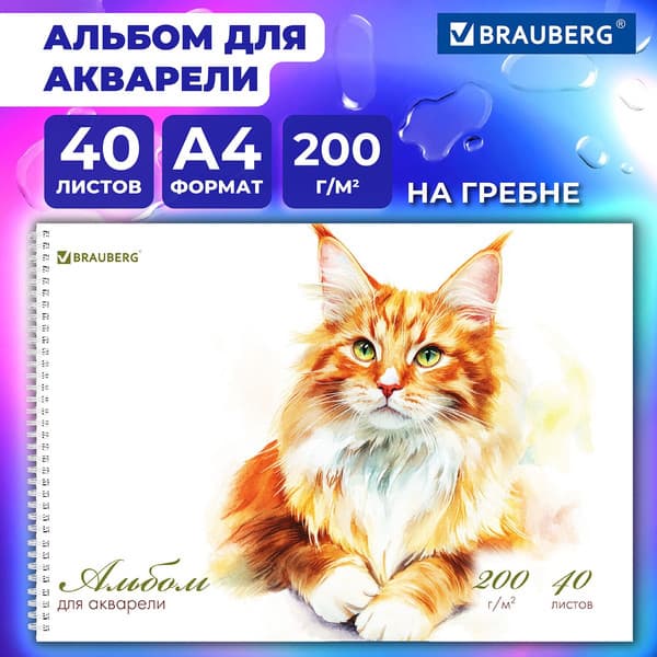 Альбом для рисования Brauberg Мейн-кун / 116884 2
