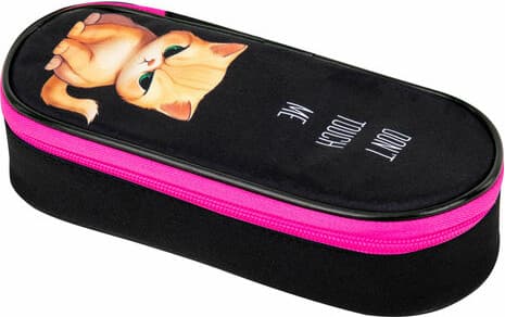 Пенал Brauberg Angry Kitty / 273566 3