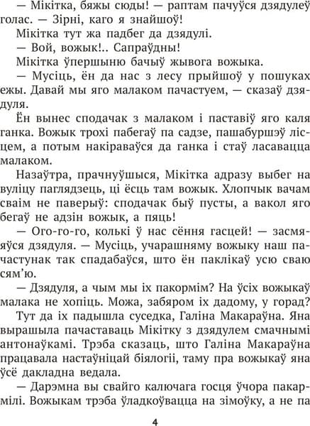 Рабочая тетрадь Аверсэв Лiтаратурнае чытанне. 4 клас 2025, мягкая обложка 3