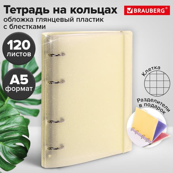 Тетрадь Brauberg 404631 2