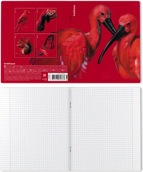 Тетрадь Erich Krause Scarlet / 64868 8