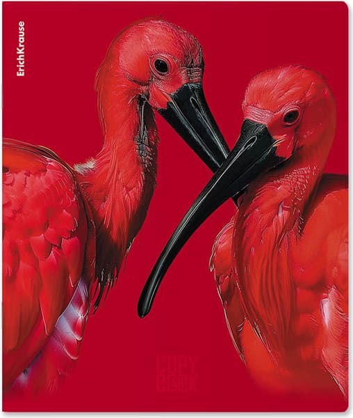 Тетрадь Erich Krause Scarlet / 64868