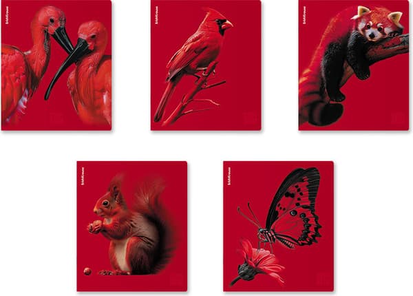 Тетрадь Erich Krause Scarlet / 64868 3