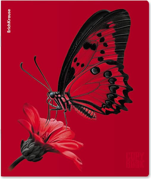 Тетрадь Erich Krause Scarlet / 64868 7