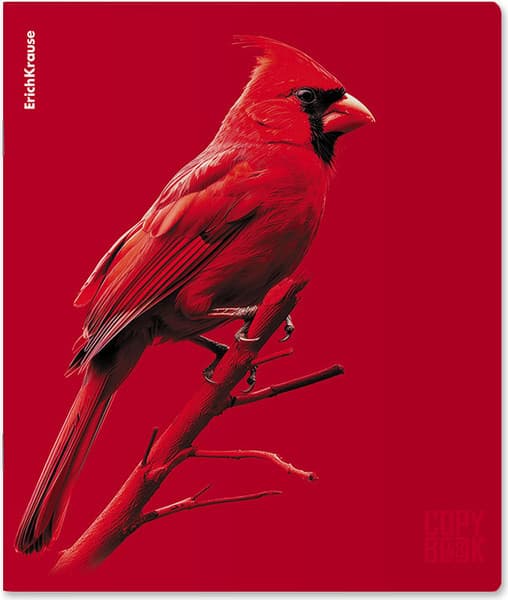 Тетрадь Erich Krause Scarlet / 64868 4