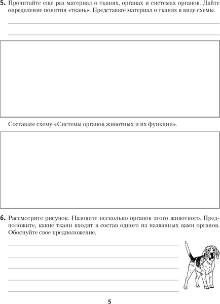Рабочая тетрадь Аверсэв Биология. 8 класс. 2025, мягкая обложка 3