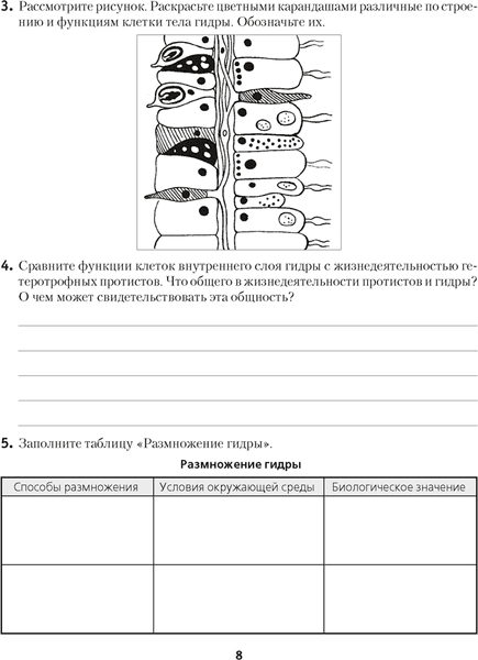 Рабочая тетрадь Аверсэв Биология. 8 класс. 2025, мягкая обложка 6