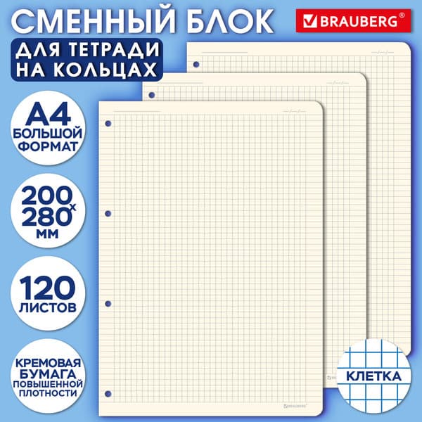 Сменный блок листов Brauberg А4 / 404517 2