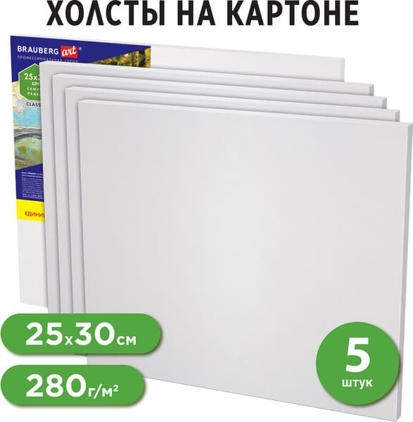 Набор холстов для рисования Brauberg Art Classic / 192504 5