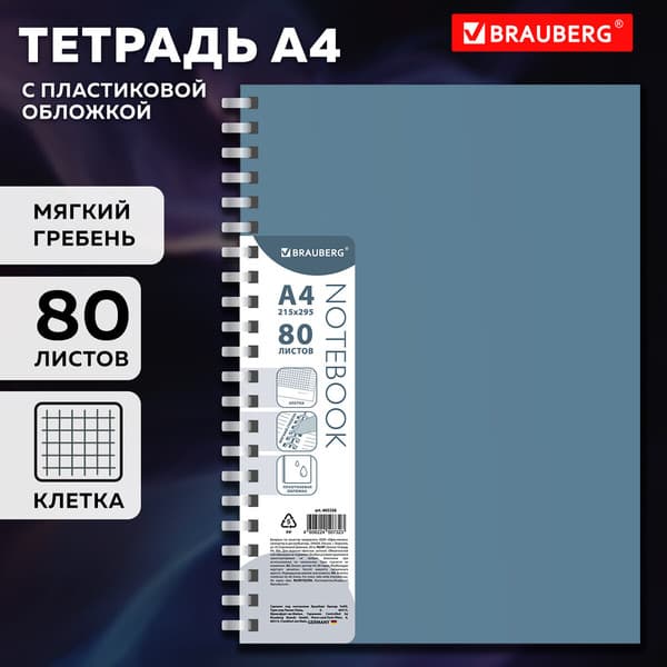 Тетрадь Brauberg 405356 2